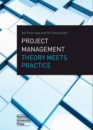 Bogcover til Project Management Theory Meets Practice