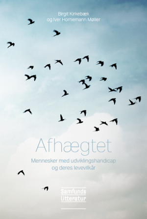 Bogcover til Afhægtet