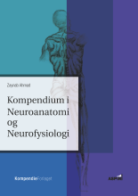 Bogcover til Kompendium i Neuroanatomi og Neurofysiologi