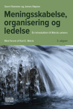 Bogcover til Meningsskabelse, organisering og ledelse
